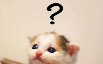 速読を始める前に確認するべきポイント